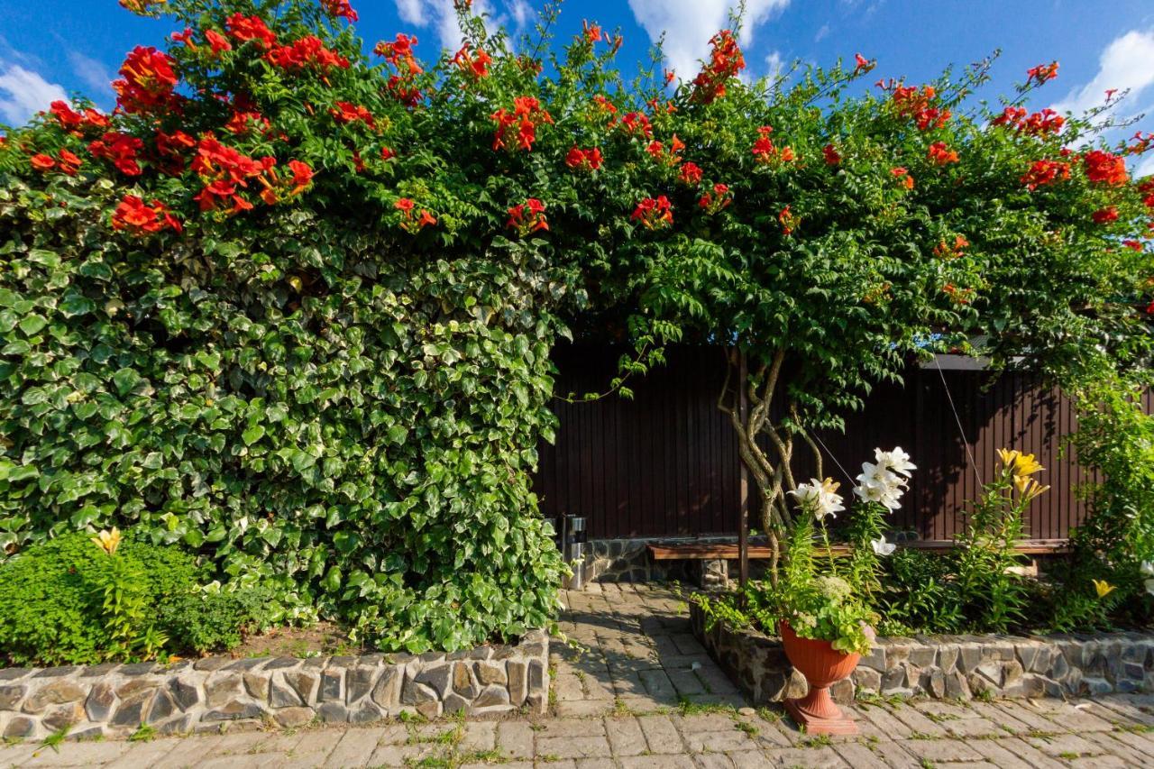 Абхазская Усадьба Hotel Gagra Kültér fotó